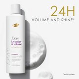 Dove Lavender & Volume Damage Therapy Shampoo, 12 OZ, thumbnail image