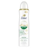 Dove Ultimate 72-Hour Antiperspirant & Deodorant Dry Spray, Cucumber Water & Mint, thumbnail image
