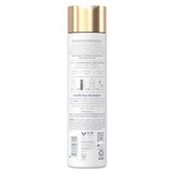 Dove Scalp + Hair Therapy Density Boost Clarifying Shampoo, 9.25 OZ, thumbnail image