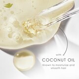 Dove Coconut & Hydration Damage Therapy Conditioner, 12 OZ, thumbnail image 3 of 14