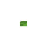 Bibigo, Crispy Chicken Dumplings, 7.7 Oz, thumbnail image