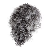 Hairdo Sassy Curl Wig, thumbnail image