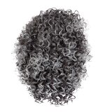 Hairdo Sassy Curl Wig, thumbnail image