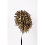 Hairdo Sassy Curl Wig, thumbnail image