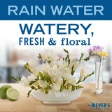 Mrs. Meyer's Clean Day Liquid Hand Soap, 12.5 OZ, thumbnail image 3 of 8