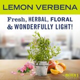 Mrs. Meyer's Clean Day Multi Surface Everyday Cleaner, Lemon Verbena, 16 oz, thumbnail image