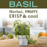 Mrs. Meyer's Clean Day Multi Surface Everyday Cleaner, Basil, 16 OZ, thumbnail image