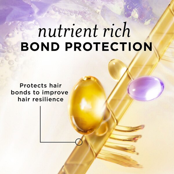 Pantene Nutrient Blends Illuminating Color Care Conditioner with Biotin, 8 OZ