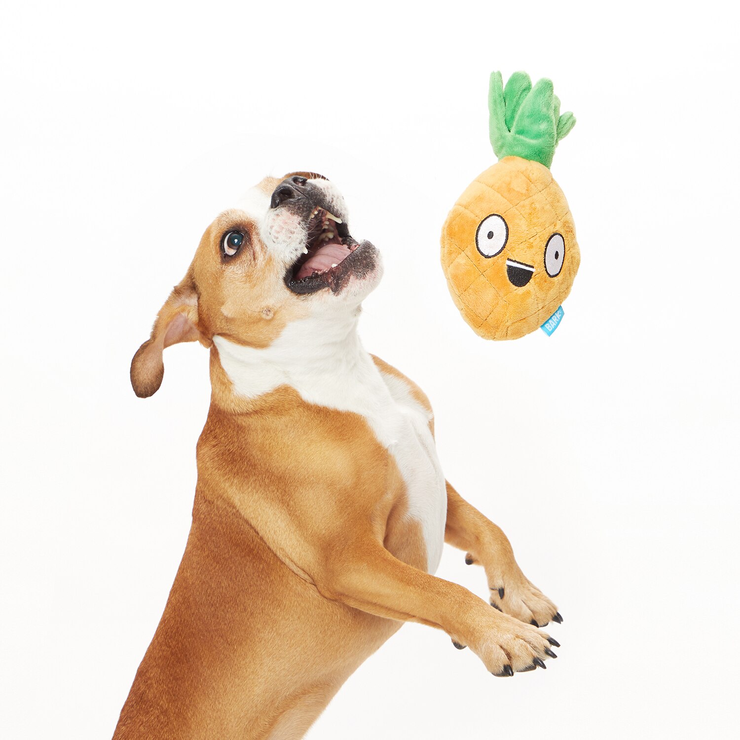 Penny the pineapple dog toy hotsell