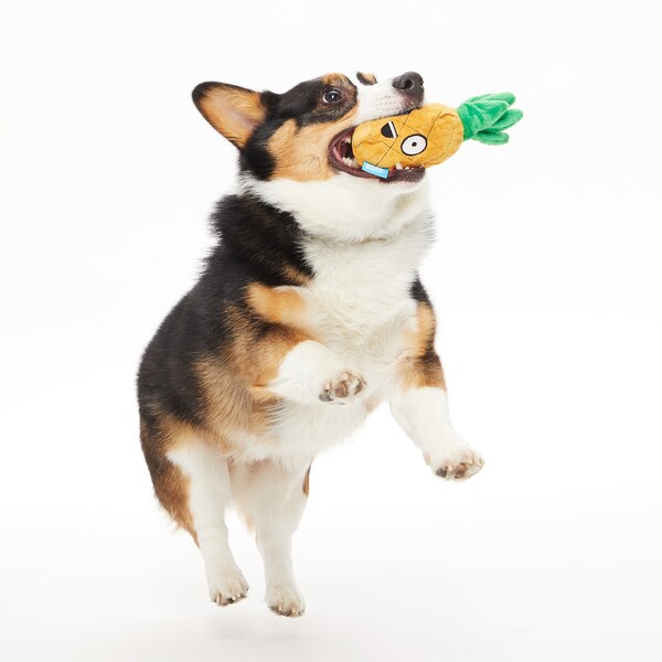 BARK Penny the Pineapple Dog Toy