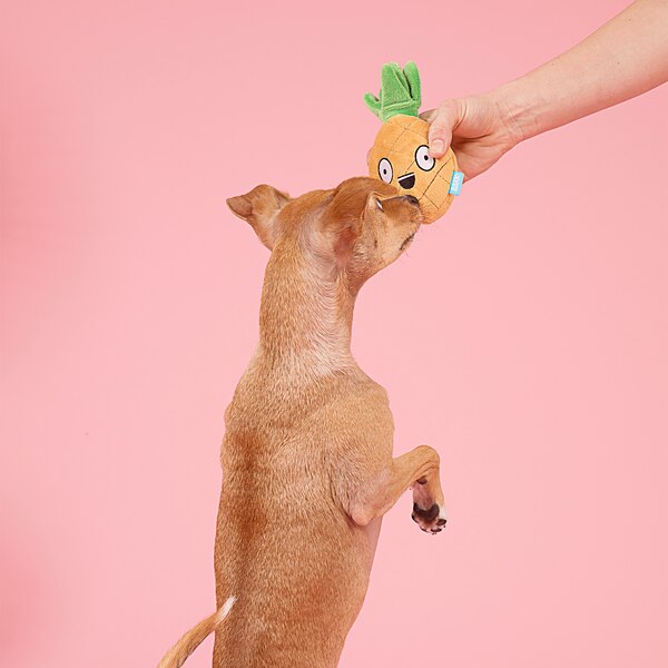 BARK Penny the Pineapple Dog Toy