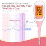 Smart Basal Thermometer, Paired with Premom APP - EBT-300, thumbnail image