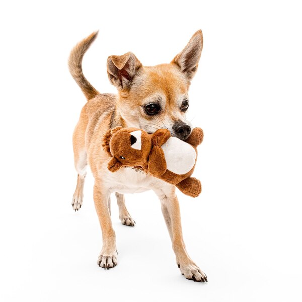 Playology Plush Squirrel Dog Toy, Peanut Butter Scent, Size Small