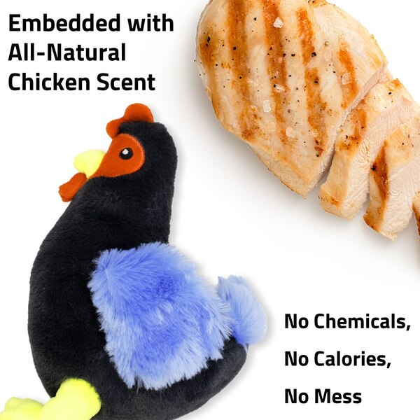 Playology Clucking Plush Chicken Dog Toy, 10.2 x 7 in