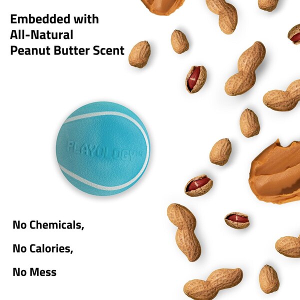 Playology Small Squeaky Chew Ball, Peanut Butter Scent, 3 ct