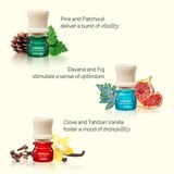 Lifelines Essential Oil Blend Discovery Set, 5 ct, thumbnail image