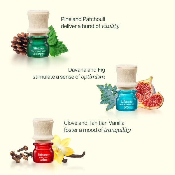 Lifelines Essential Oil Blend Discovery Set, 5 ct
