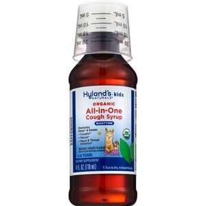 Hyland's Naturals Kids Organic All-in-One Nighttime Cough Syrup, Grape