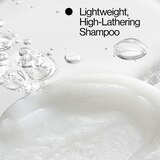 Eva NYC Take Care Healthy Hair Shampoo, 10 OZ, thumbnail image