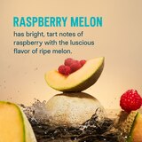 Liquid I.V. Hydration Multiplier Electrolyte Drink Mix, Sugar Free, Raspberry Melon, 6 CT, thumbnail image