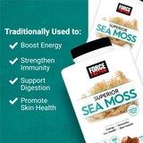 Force Factor Sea Moss Chew, 60 CT, thumbnail image
