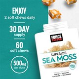 Force Factor Sea Moss Chew, 60 CT, thumbnail image