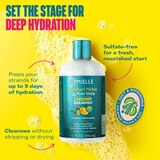 Mielle Kalahari Melon & Aloe Vera Deep Hydration Shampoo, 12 OZ, thumbnail image 3 of 11