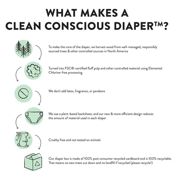 Clean Conscious Diapers, All the Letters, Size 6, 18 Count Polybag