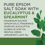 Dr. Teal's Therapy Solutions Epsom Salt Soaking Solution, thumbnail image