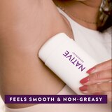 Native Deodorant Stick, Lavender & Rose, 2.65 OZ, thumbnail image