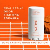 Native Deodorant Stick, Citrus & Herbal Musk, 2.65 OZ, thumbnail image