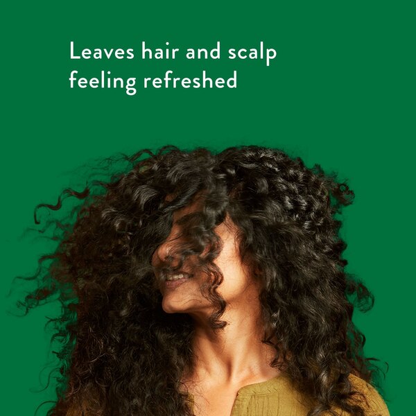 Native Scalp Refreshing 2-in-1 Shampoo & Conditioner, Eucalyptus & Mint, 16.5 OZ