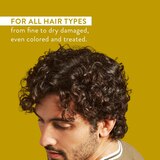 Native Curl Care Conditioner, Coconut Milk & Turmeric, 16.5 OZ, thumbnail image