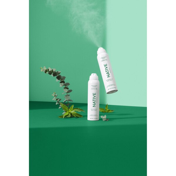 Native Deodorant & Body Spray, Eucalyptus & Mint, 3.5 OZ