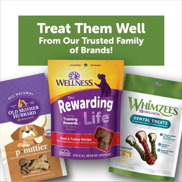 WHIMZEES by Wellness Natural Grain Free Long Lasting Dental Dog Treats, Daily Use Packs, Small Brushzees, 14ct