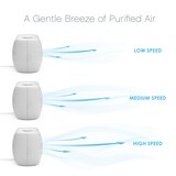 Pure Enrichment PureZone Breeze Tabletop 2-in-1 Air Purifier, thumbnail image