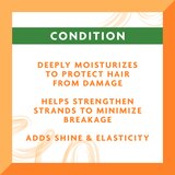 Cantu Argan Oil Leave-In Conditioning Repair Cream, 16 OZ, thumbnail image
