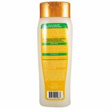 Cantu Avocado Hydrating Shampoo, 13.5 OZ, thumbnail image
