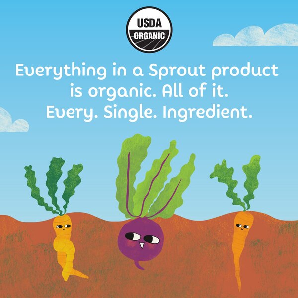 Sprout Organics Stage 2 Pouch Strawberry, Pear & Banana