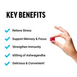 Amazing Ashwa Soft Chews, Triple Berry, 60 CT, thumbnail image