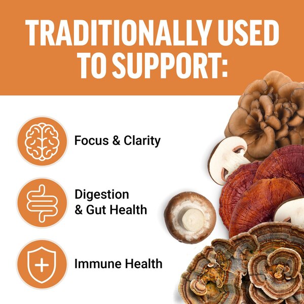 Force Factor, Modern Mushrooms Soft Chews, Cinnamon Roll, 60 CT