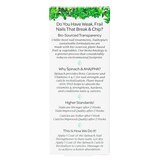 Nailtopia Spinach Nails Are Strong Kit, thumbnail image