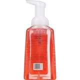 Happiness Is Gentle Foaming Hand Soap, thumbnail image