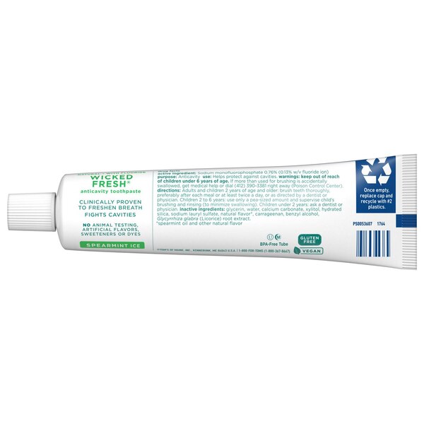 Tom's of Maine Wicked Fresh Fluoride Anticavity Toothpaste, Spearmint Ice, 4 OZ