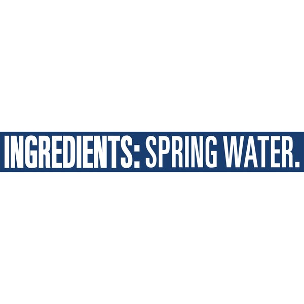 Ice Mountain 100% Natural Spring Water Plastic Bottle