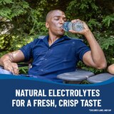 Ice Mountain 100% Natural Spring Water Plastic Bottle, 23.7 oz, thumbnail image 5 of 10