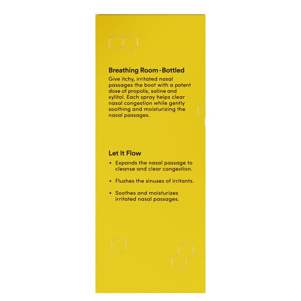 Beekeeper's Naturals Propolis Nasal Spray, 1 OZ