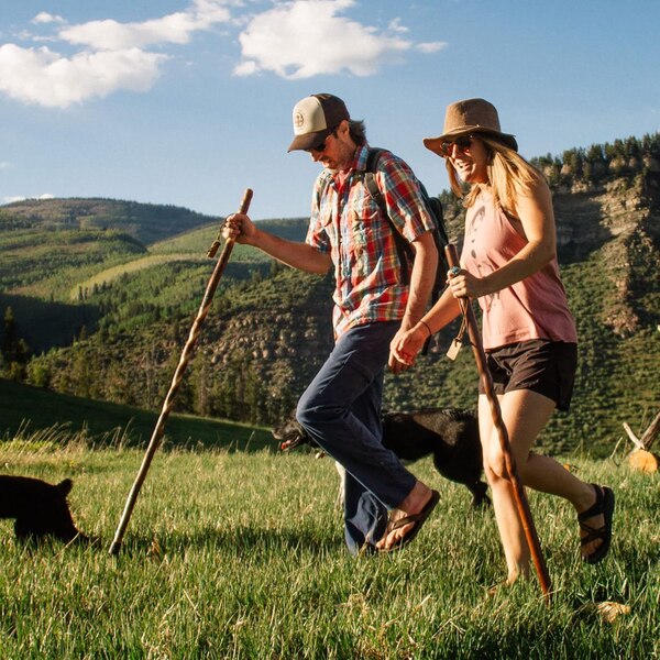 DMI Brazos 55" Twisted Oak Backpacker Walking Stick