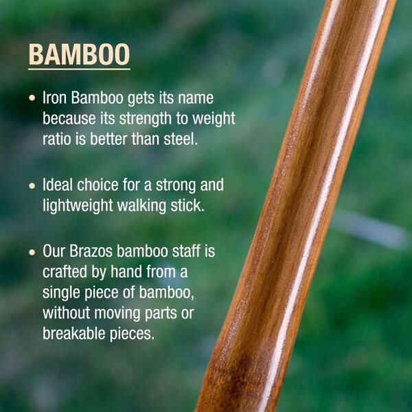 DMI Brazos 55" Free Form Iron Bamboo Walking Stick