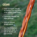 DMI Brazos 55" Twisted Aromatic Cedar Walking Stick, thumbnail image